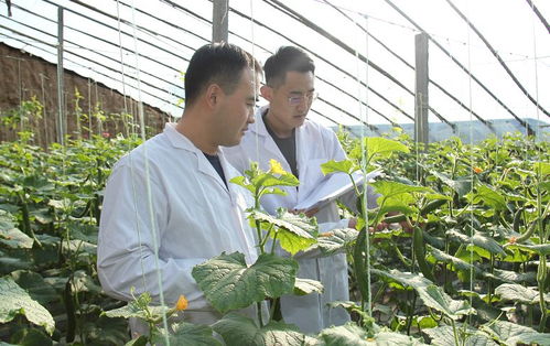 安丘百名檢測員一線把關(guān)，筑牢“舌尖安全”防護(hù)網(wǎng)