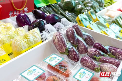 借食餐會打開外銷窗口 寧夏固原赴長沙推介農(nóng)文旅產(chǎn)品